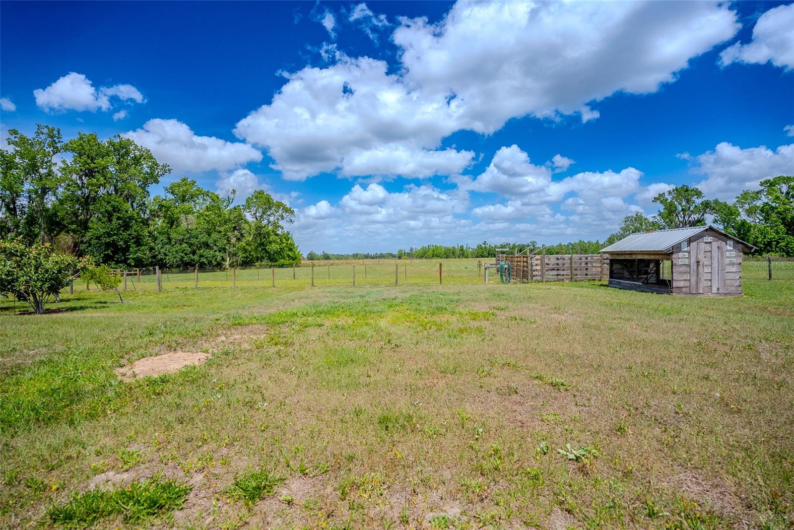 15141 FARM RD, GROVELAND, FL, 34736