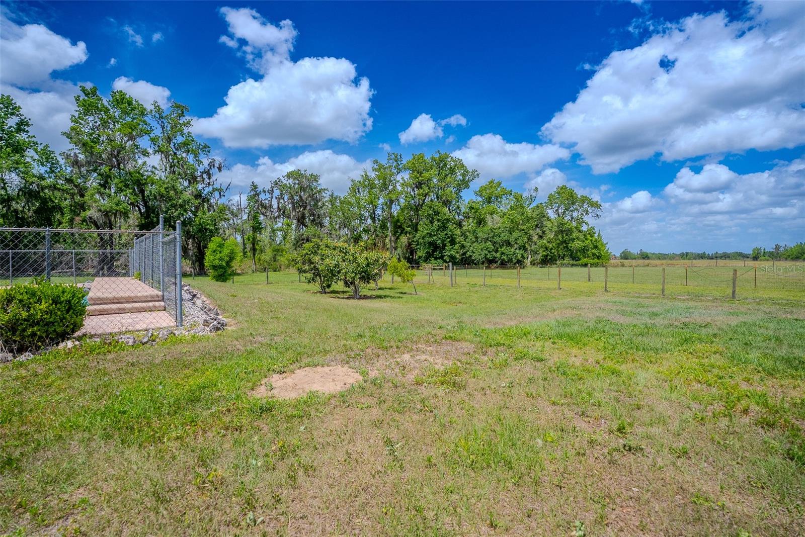 15141 FARM RD, GROVELAND, FL, 34736