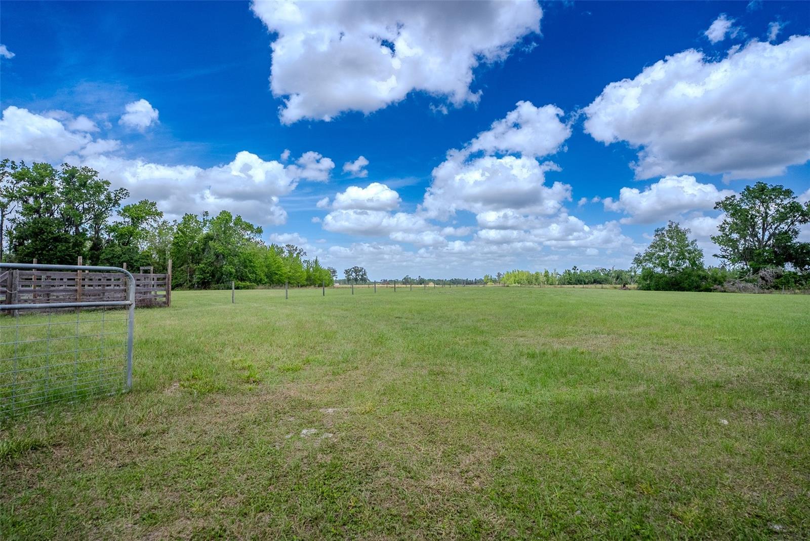 15141 FARM RD, GROVELAND, FL, 34736
