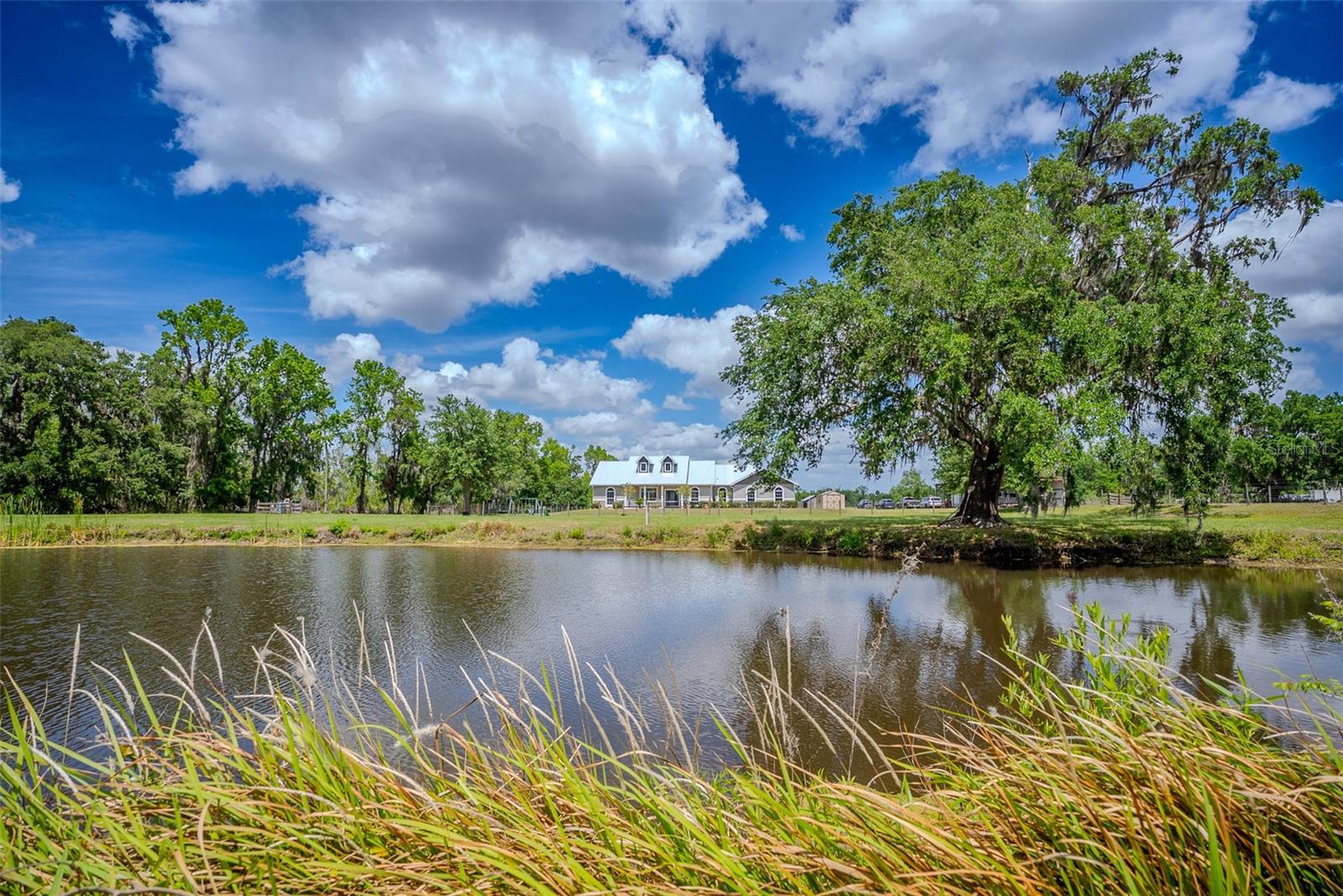 15141 FARM RD, GROVELAND, FL, 34736