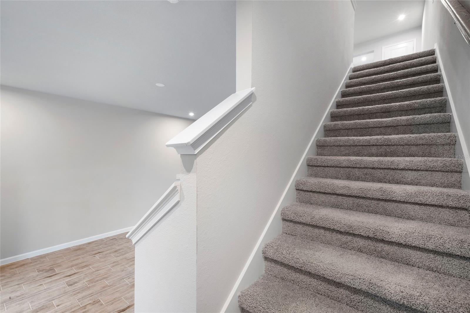 4160 CLOUD HOPPER WAY, LUTZ, FL, 33559