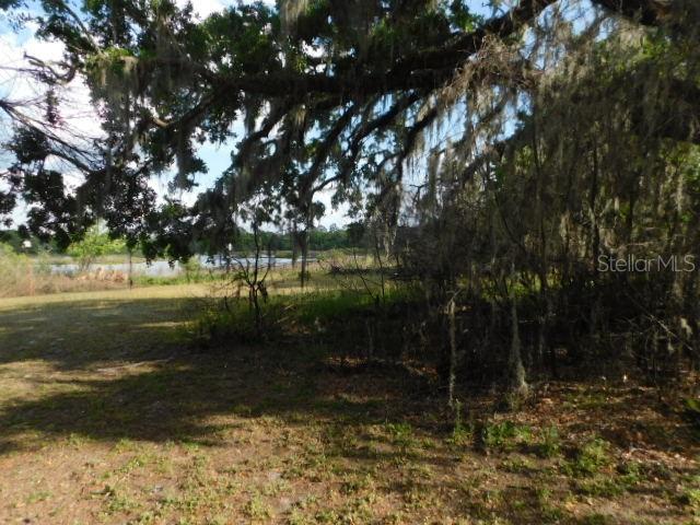 34413 ORCHID PKWY., DADE CITY, FL, 33523
