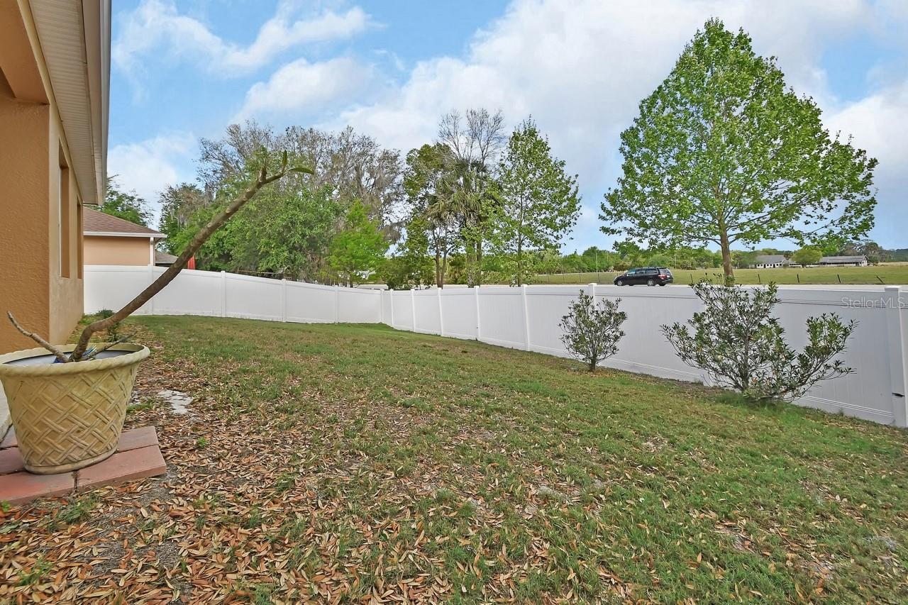 859 OAK HOLLOW LOOP, DELAND, FL, 32724