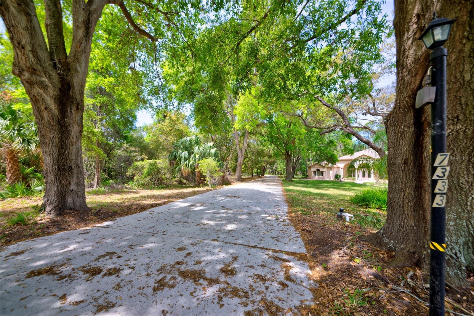 7333 ROYAL OAK DR, SPRING HILL, FL, 34607