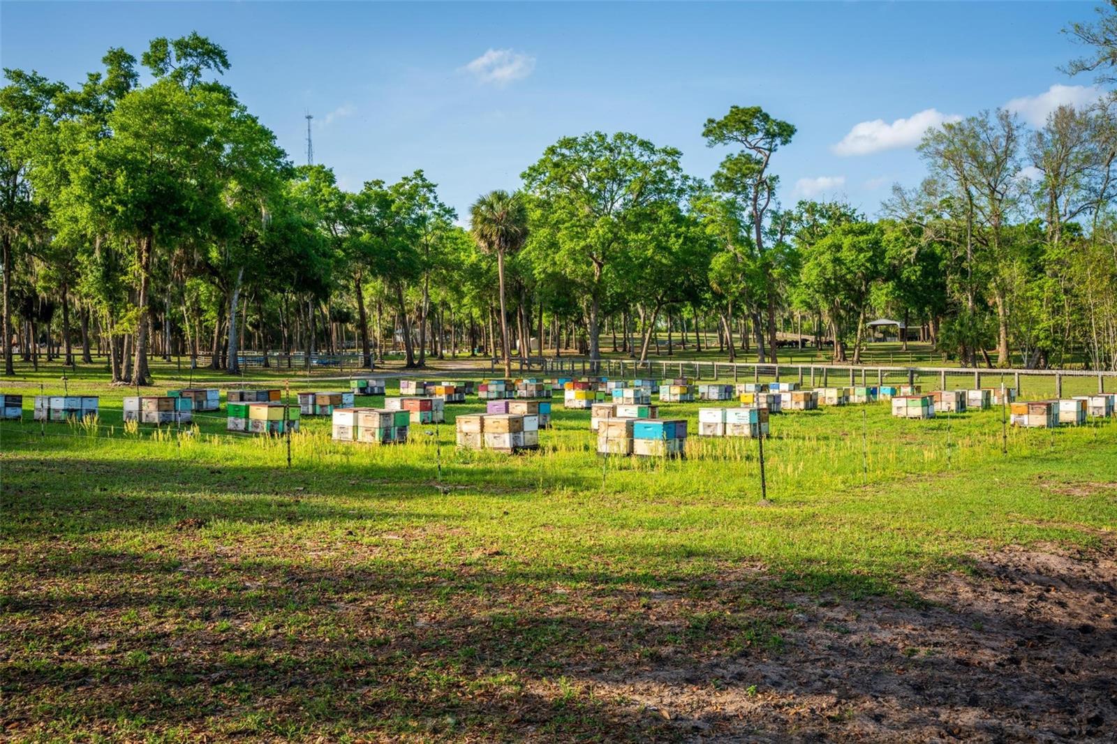 FISHERMANS RD, PAISLEY, FL, 32767