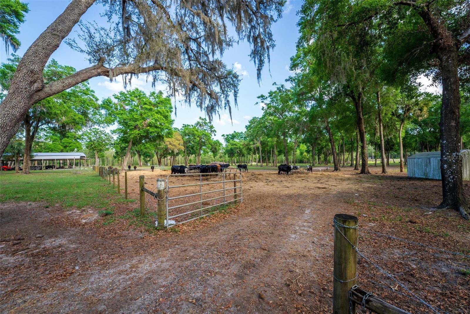 FISHERMANS RD, PAISLEY, FL, 32767