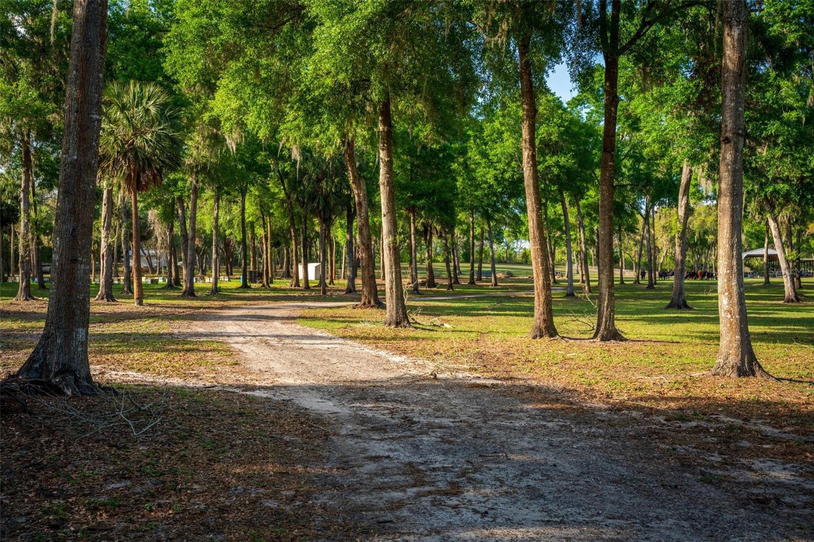 FISHERMANS RD, PAISLEY, FL, 32767