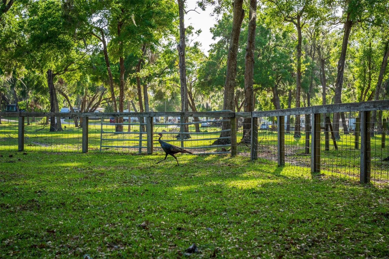 FISHERMANS RD, PAISLEY, FL, 32767