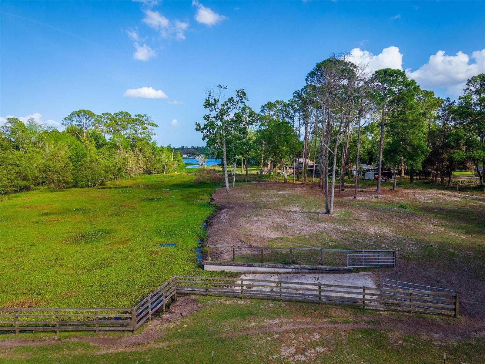 FISHERMANS RD, PAISLEY, FL, 32767