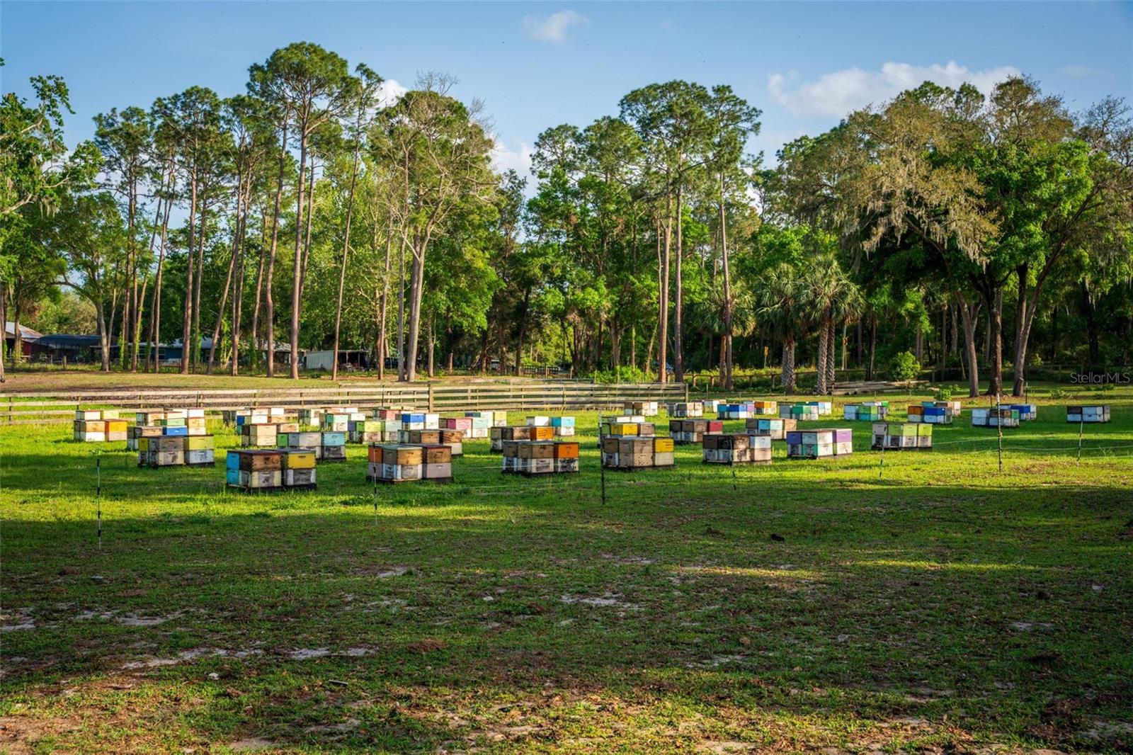 FISHERMANS RD, PAISLEY, FL, 32767