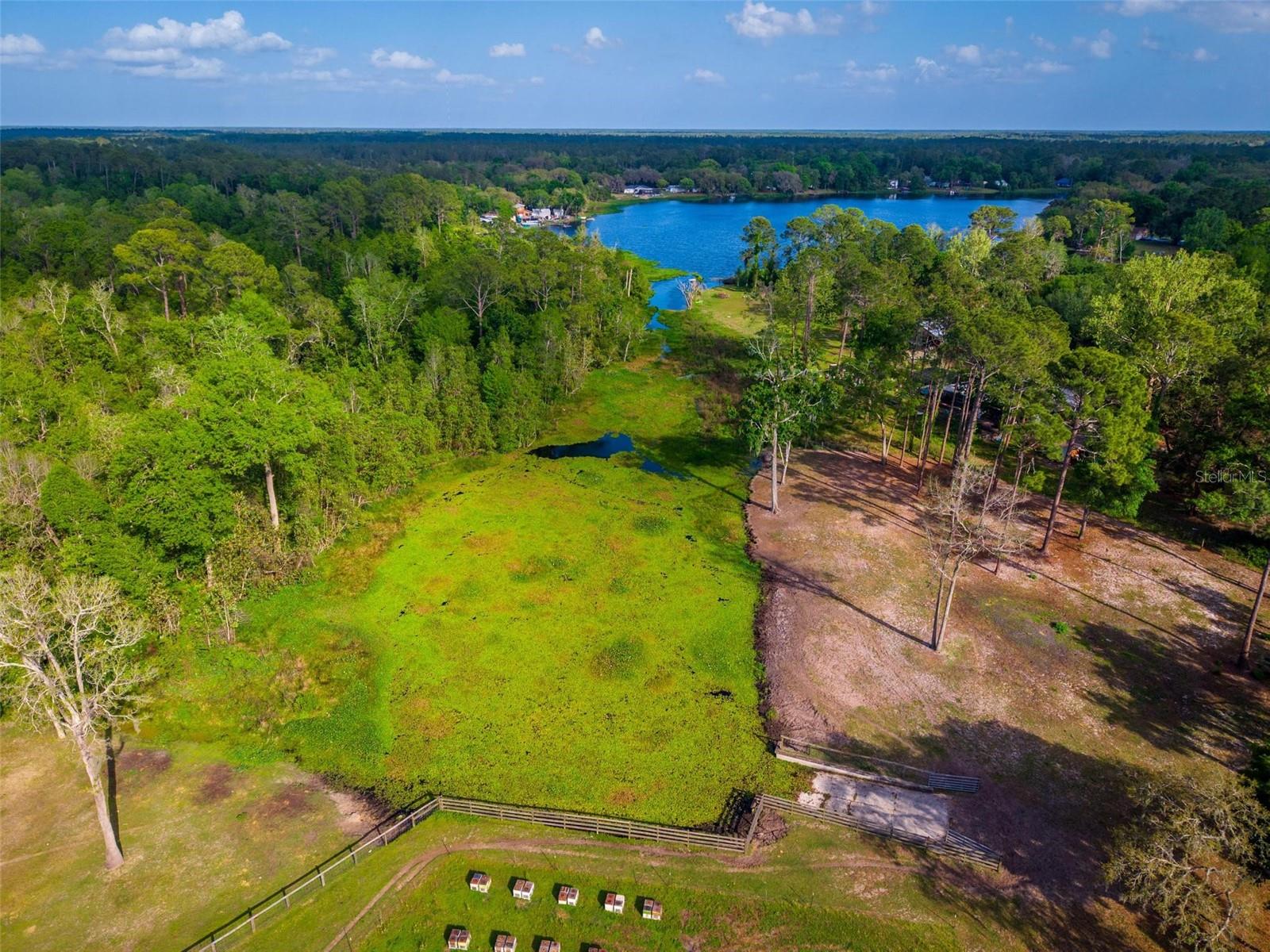 FISHERMANS RD, PAISLEY, FL, 32767