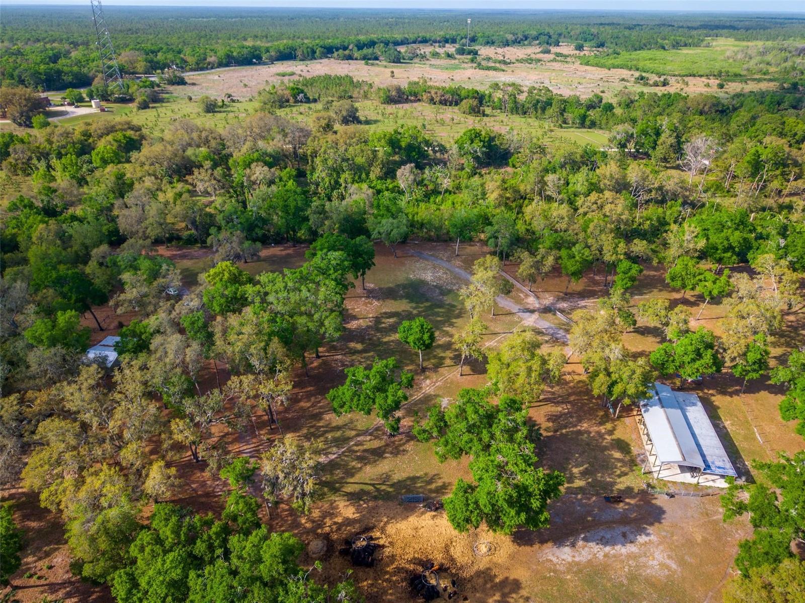 FISHERMANS RD, PAISLEY, FL, 32767