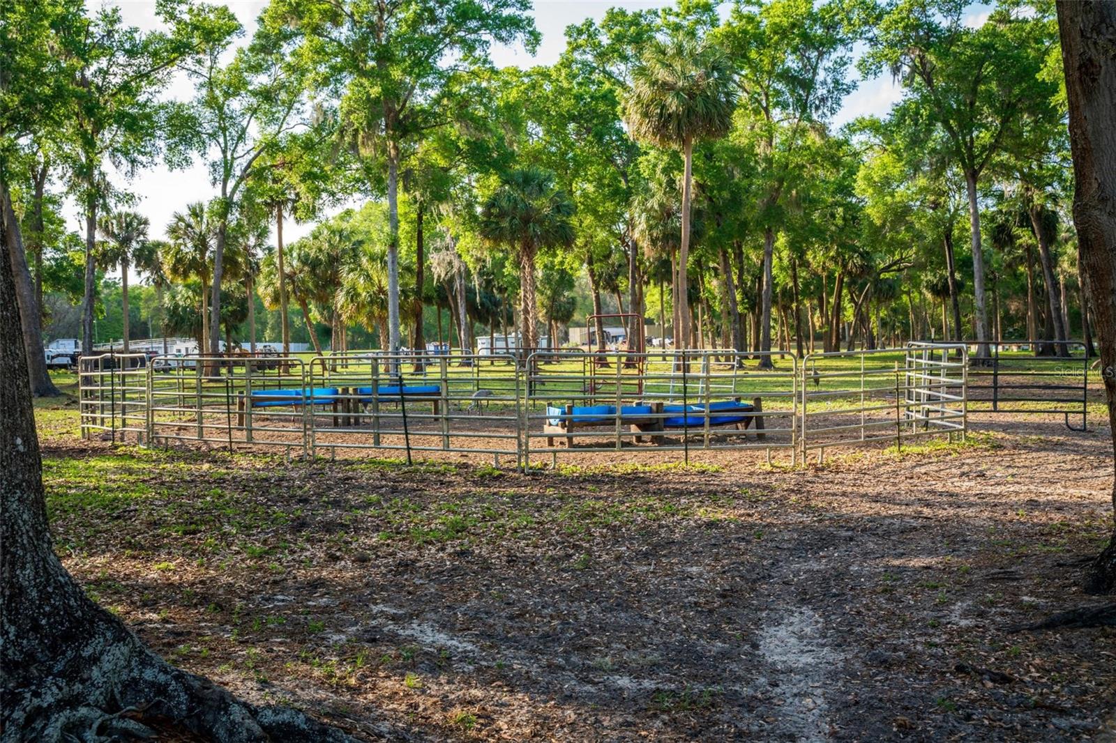 FISHERMANS RD, PAISLEY, FL, 32767