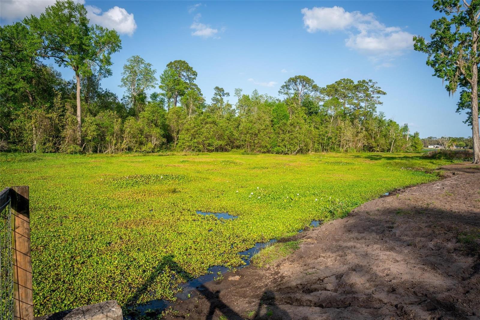 FISHERMANS RD, PAISLEY, FL, 32767