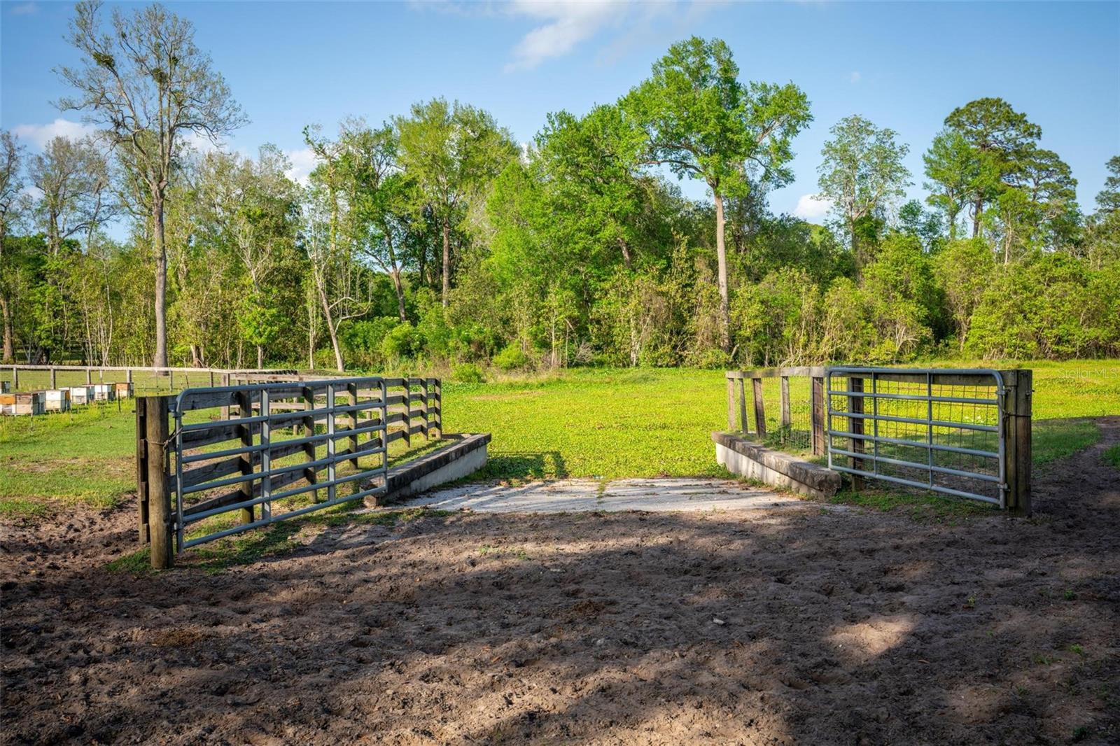 FISHERMANS RD, PAISLEY, FL, 32767