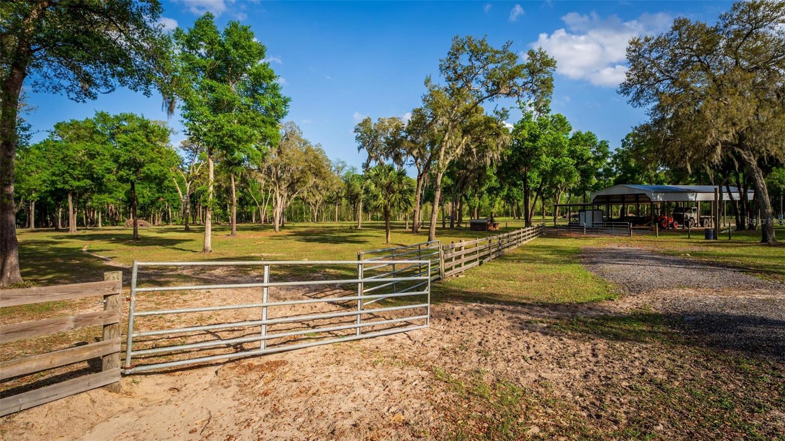 FISHERMANS RD, PAISLEY, FL, 32767