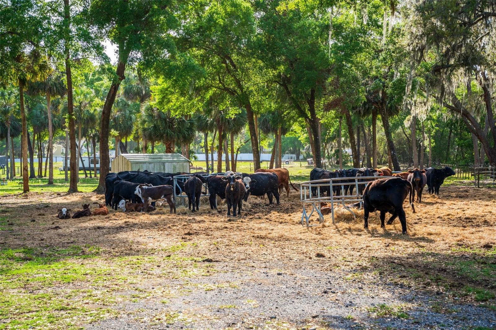 FISHERMANS RD, PAISLEY, FL, 32767