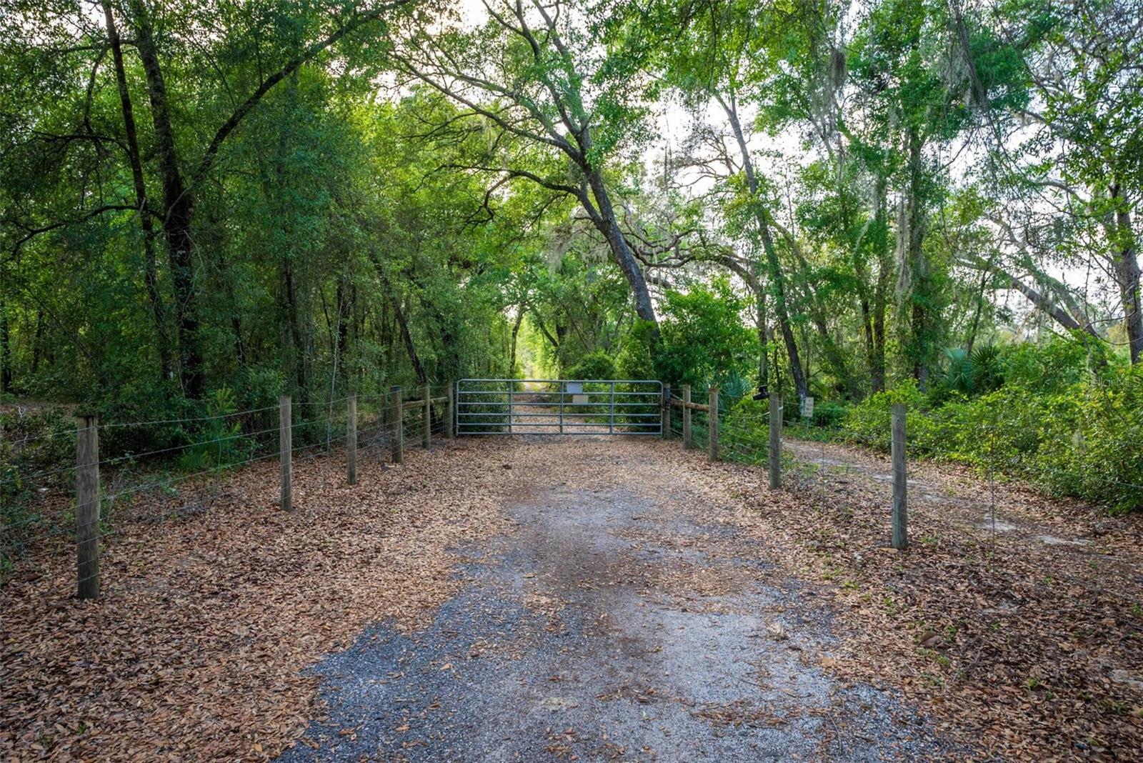 FISHERMANS RD, PAISLEY, FL, 32767