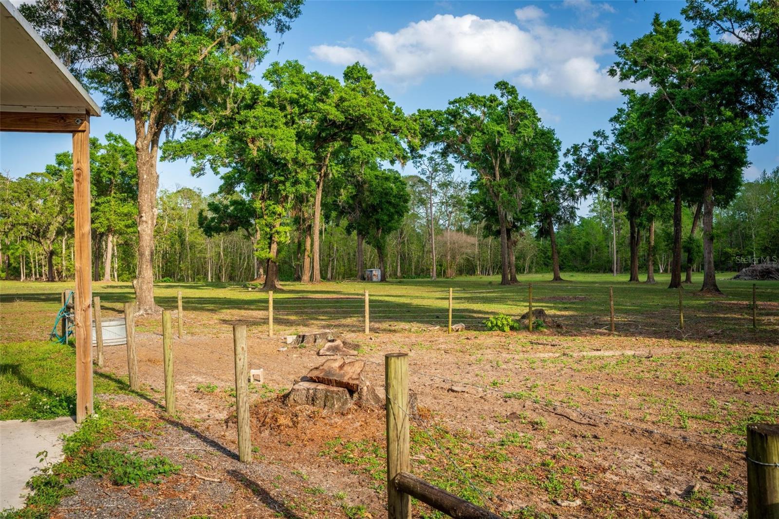 FISHERMANS RD, PAISLEY, FL, 32767