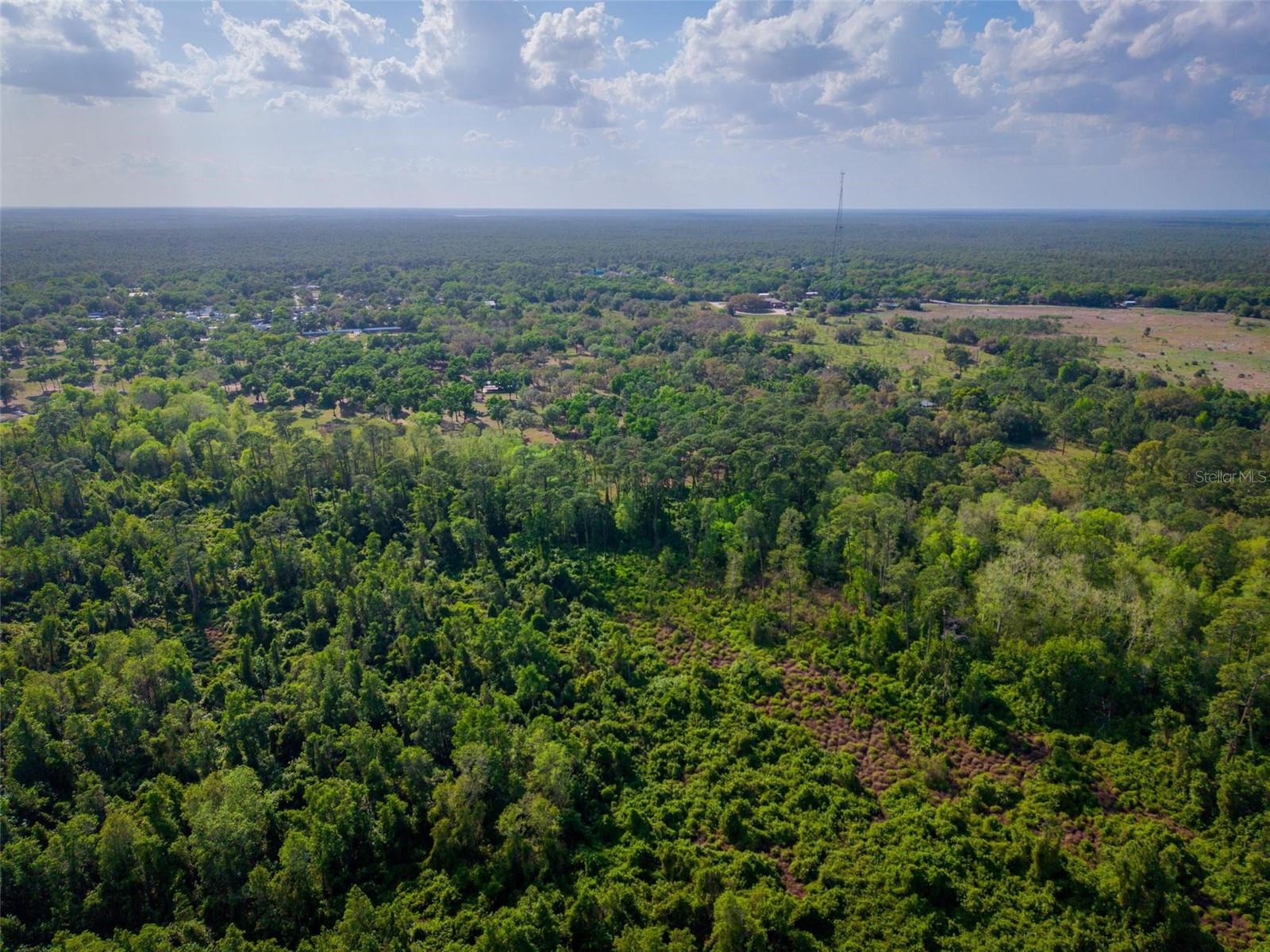FISHERMANS RD, PAISLEY, FL, 32767