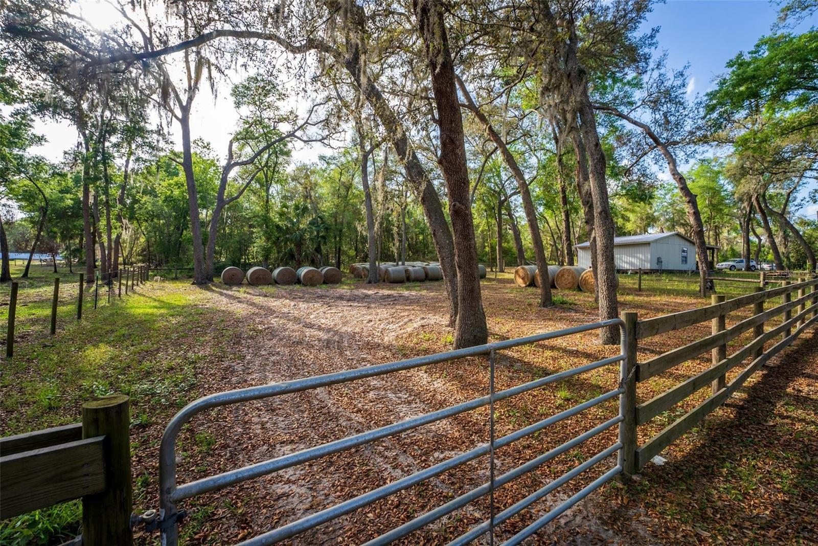 FISHERMANS RD, PAISLEY, FL, 32767