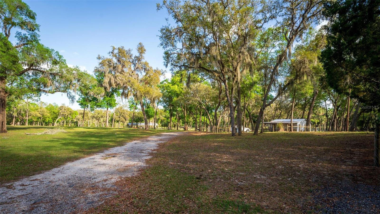 FISHERMANS RD, PAISLEY, FL, 32767