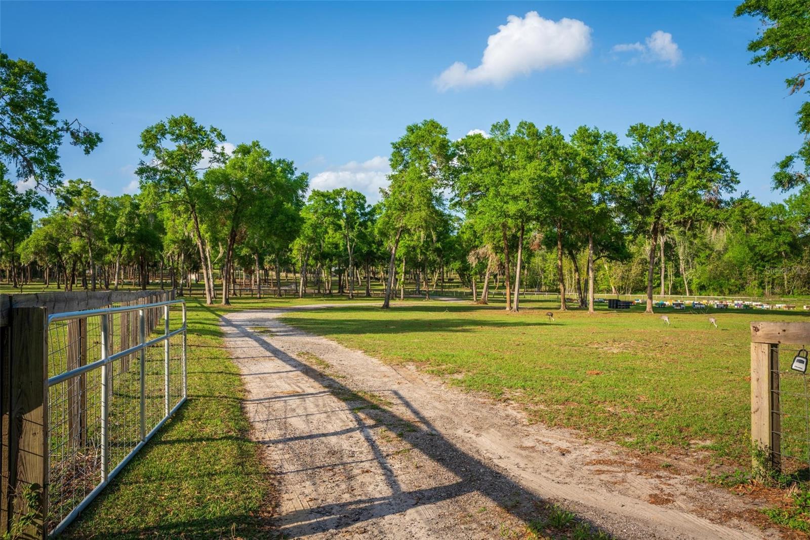 FISHERMANS RD, PAISLEY, FL, 32767