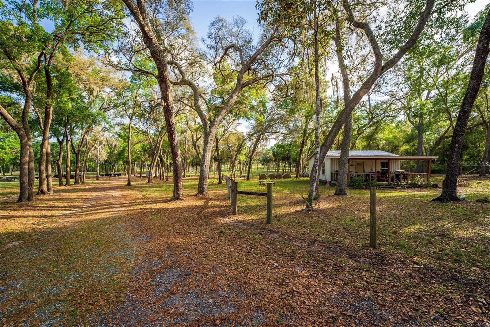 FISHERMANS RD, PAISLEY, FL, 32767