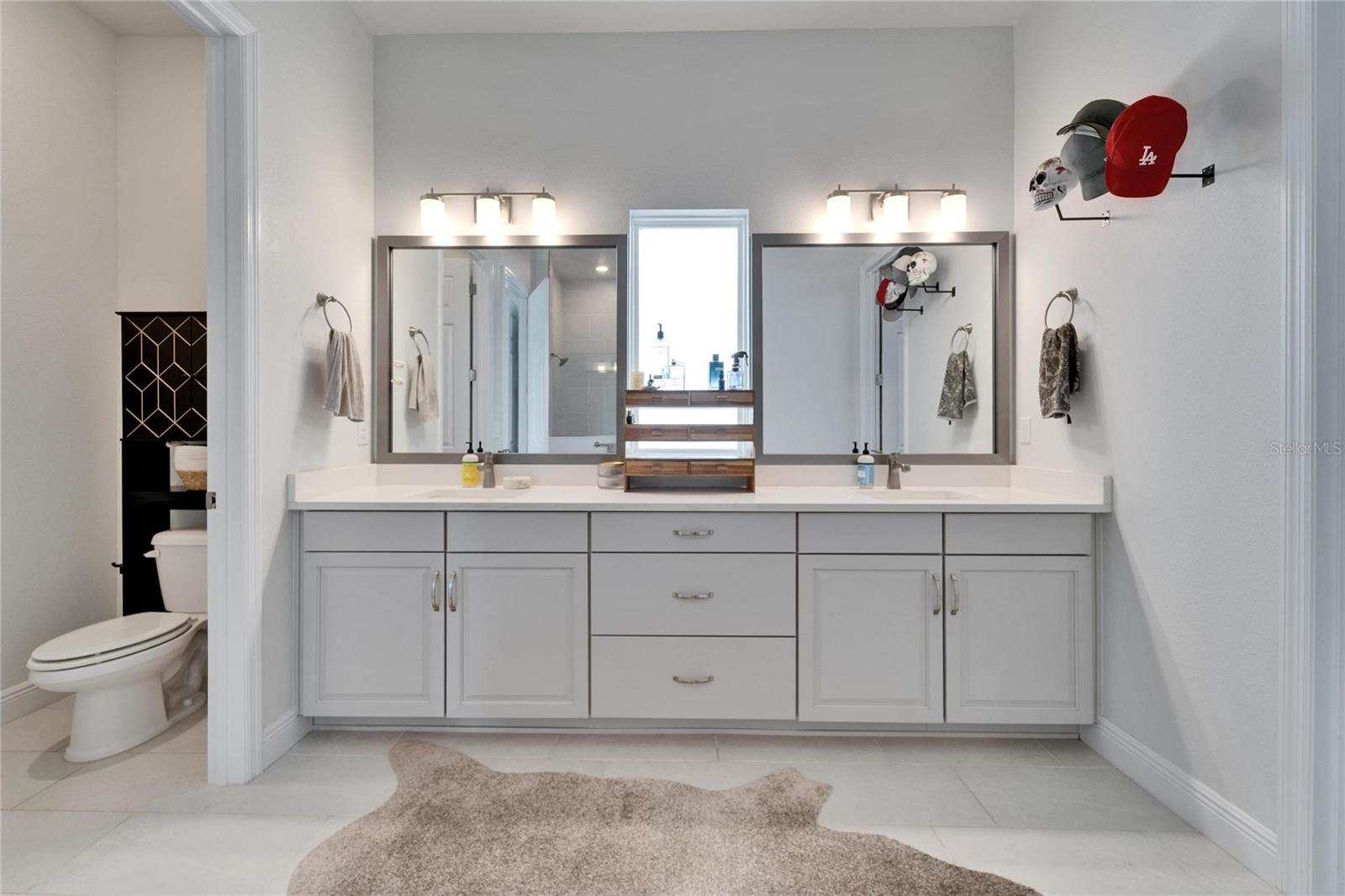 28847 ORANGE BERRY DR, WESLEY CHAPEL, FL, 33543