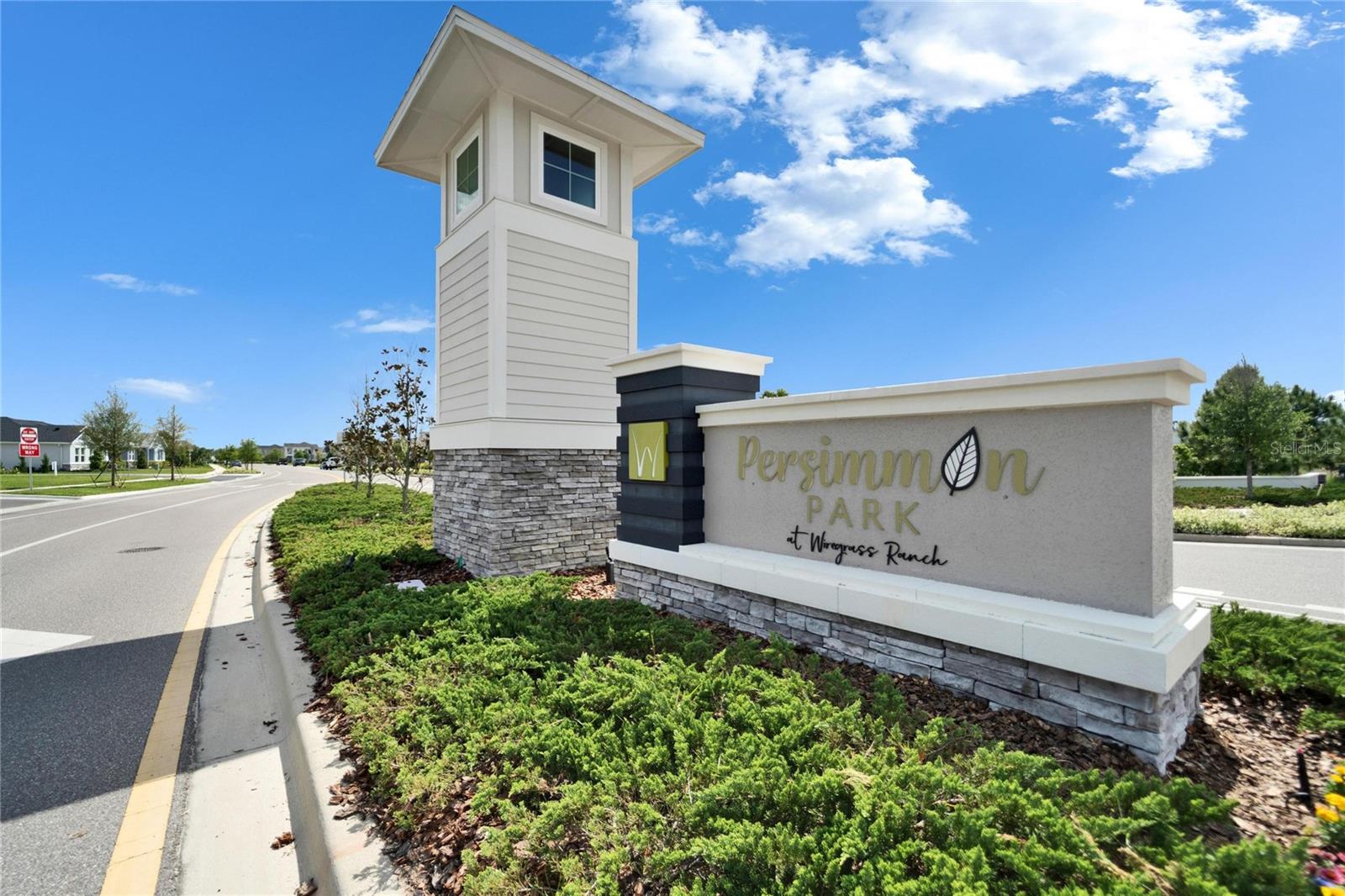 28847 ORANGE BERRY DR, WESLEY CHAPEL, FL, 33543
