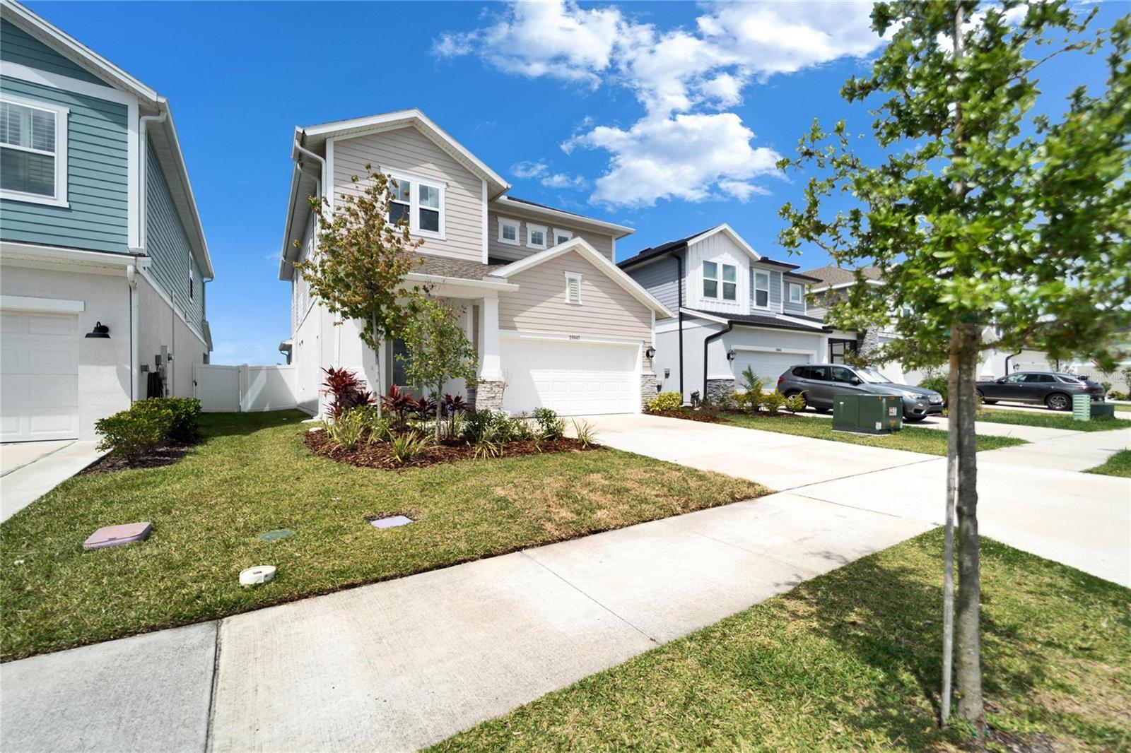28847 ORANGE BERRY DR, WESLEY CHAPEL, FL, 33543