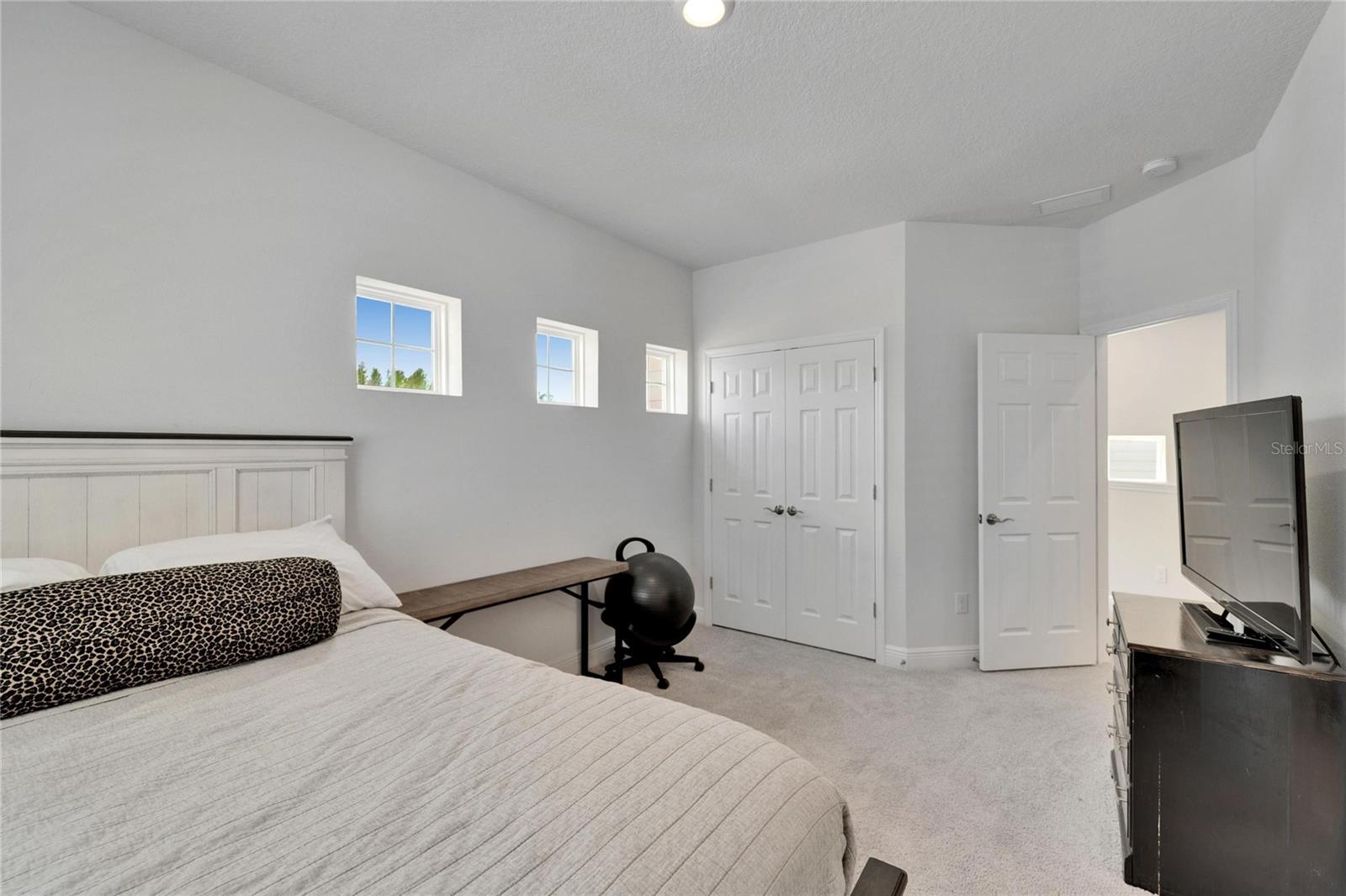 28847 ORANGE BERRY DR, WESLEY CHAPEL, FL, 33543