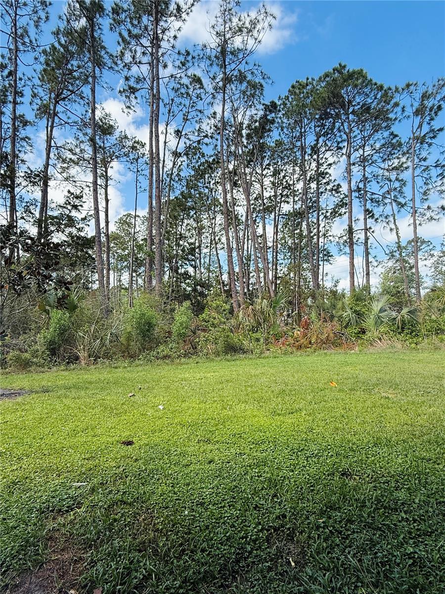 2 RYAPPLE LN #A and B, PALM COAST, FL, 32164
