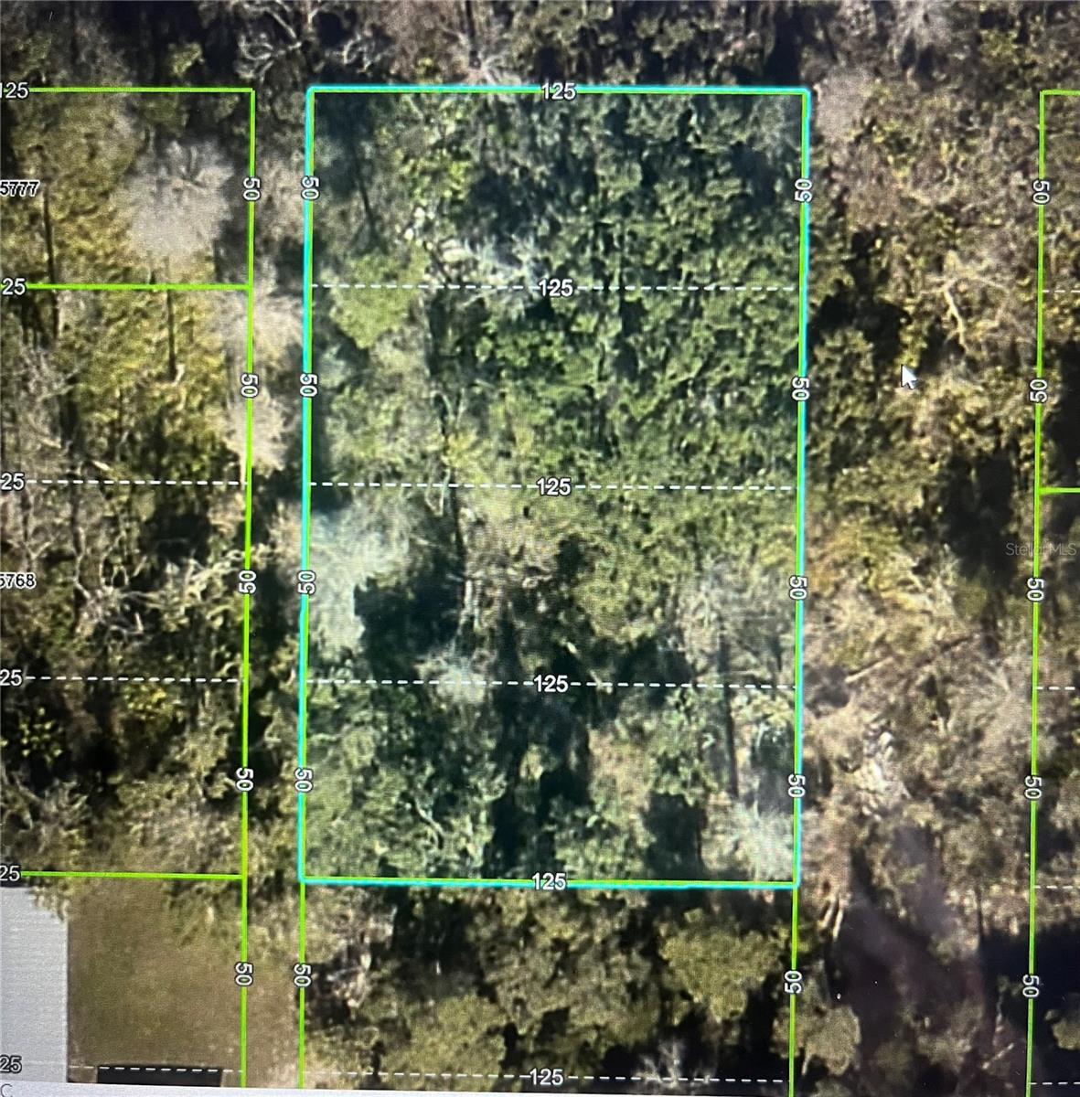 LAS PALMAS AVE, SPRING HILL, FL, 34606