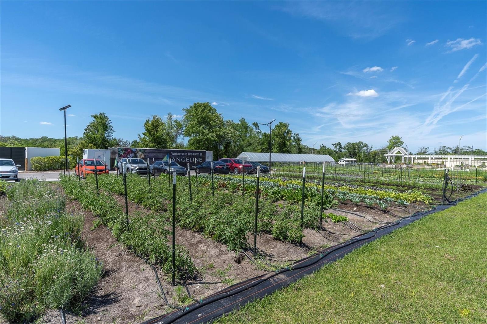 17694 SHIREWOOD WAY, LAND O LAKES, FL, 34638