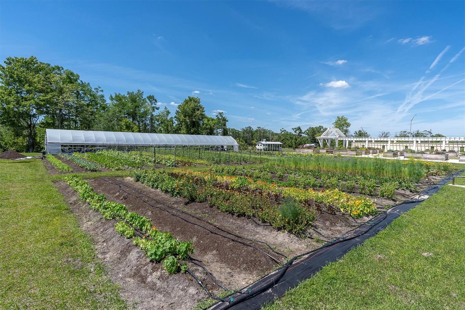 17694 SHIREWOOD WAY, LAND O LAKES, FL, 34638