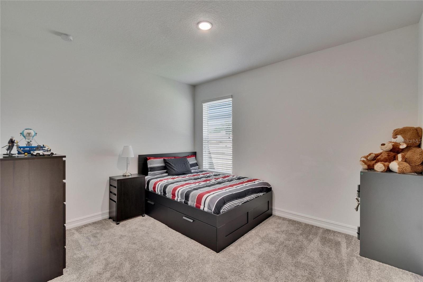 10402 ALCON BLUE DR, RIVERVIEW, FL, 33578