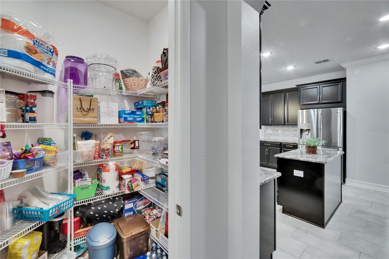 10402 ALCON BLUE DR, RIVERVIEW, FL, 33578