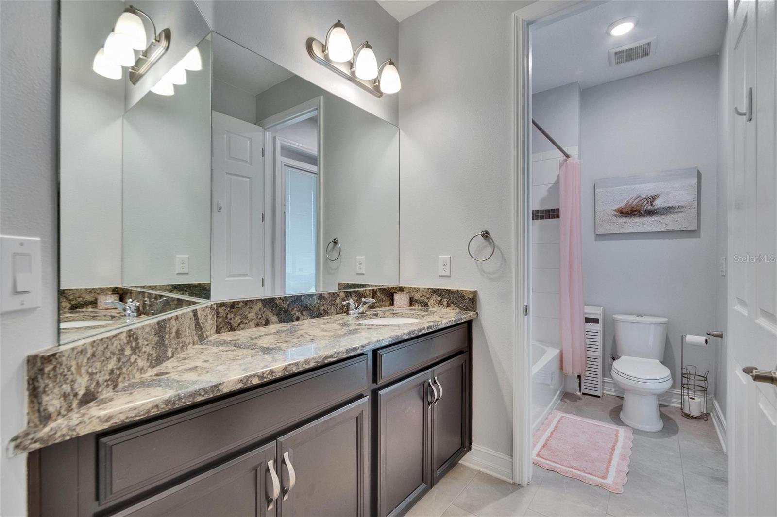 10402 ALCON BLUE DR, RIVERVIEW, FL, 33578