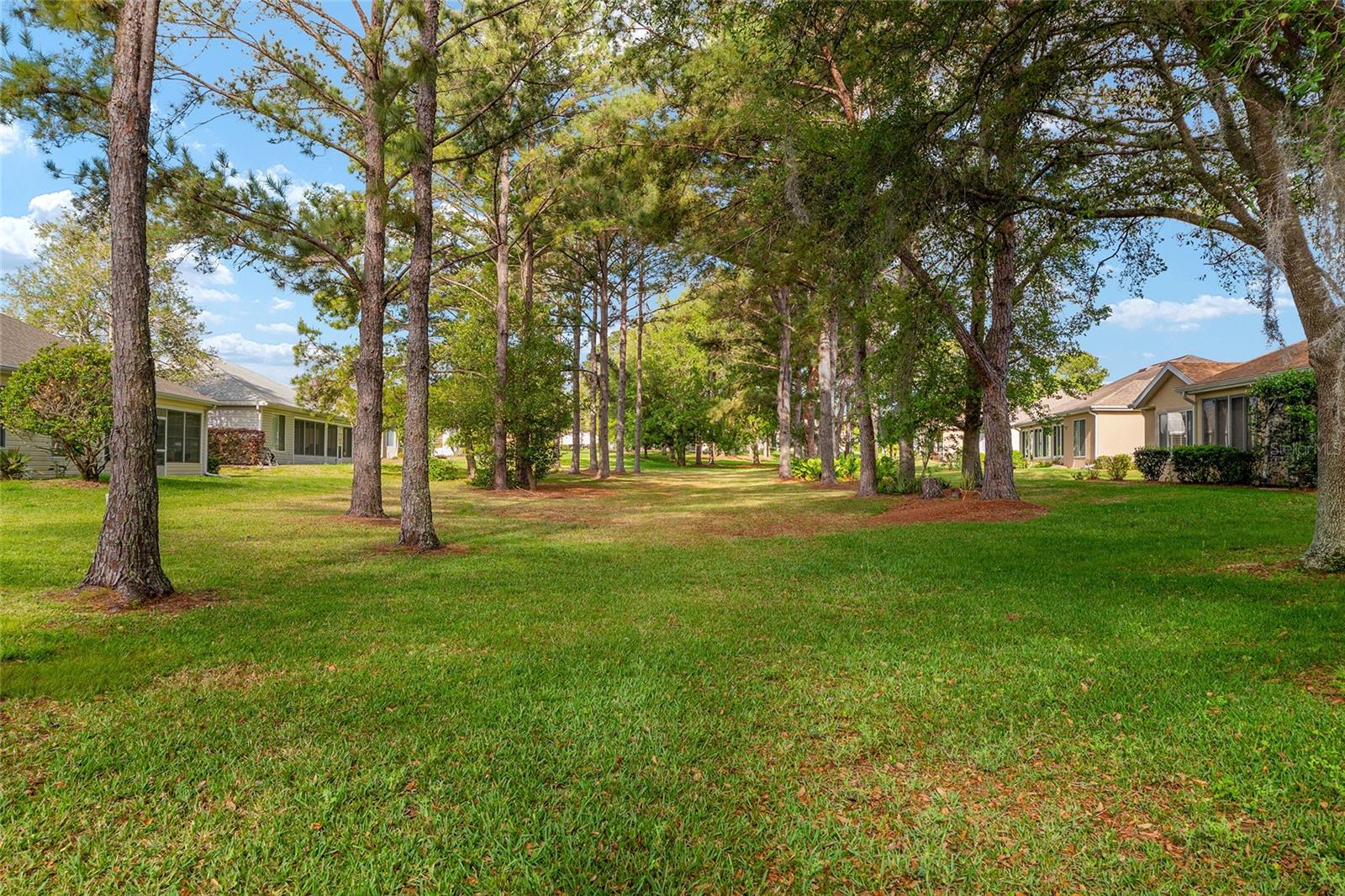 13190 SE 93RD CIR, SUMMERFIELD, FL, 34491