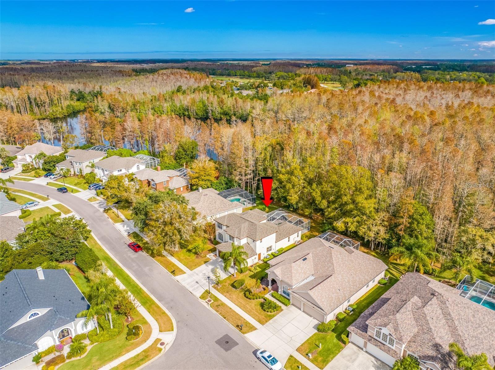 18801 CHAVILLE RD, LUTZ, FL, 33558