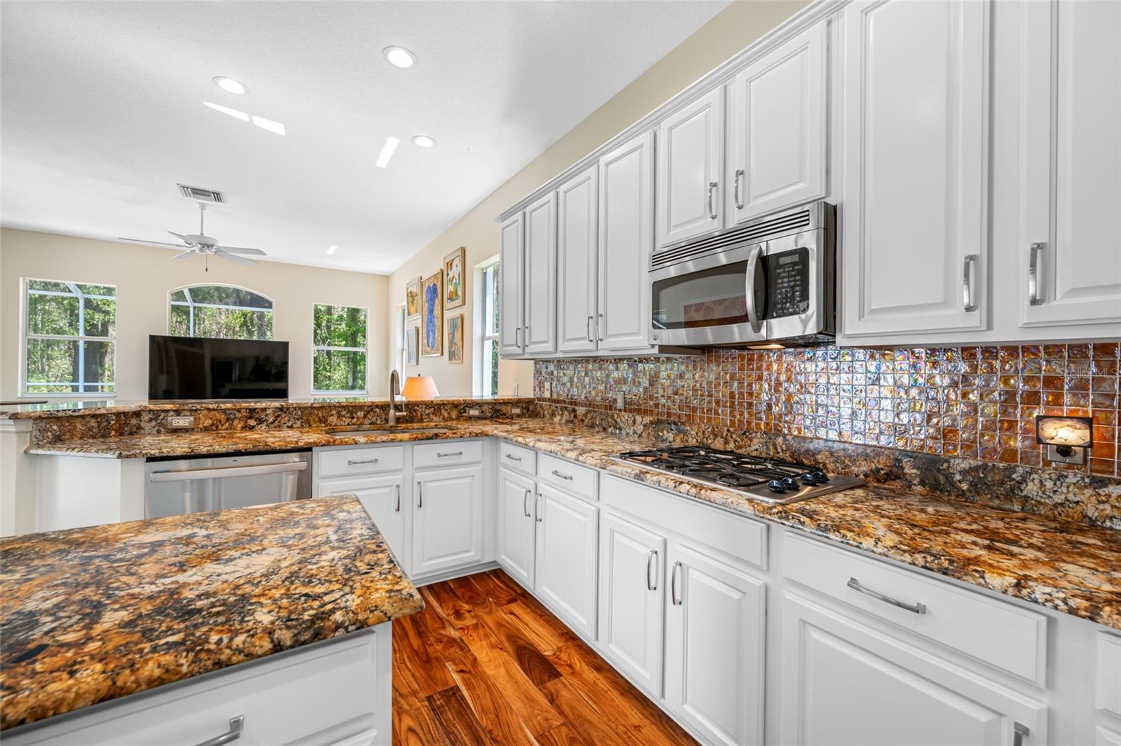18801 CHAVILLE RD, LUTZ, FL, 33558