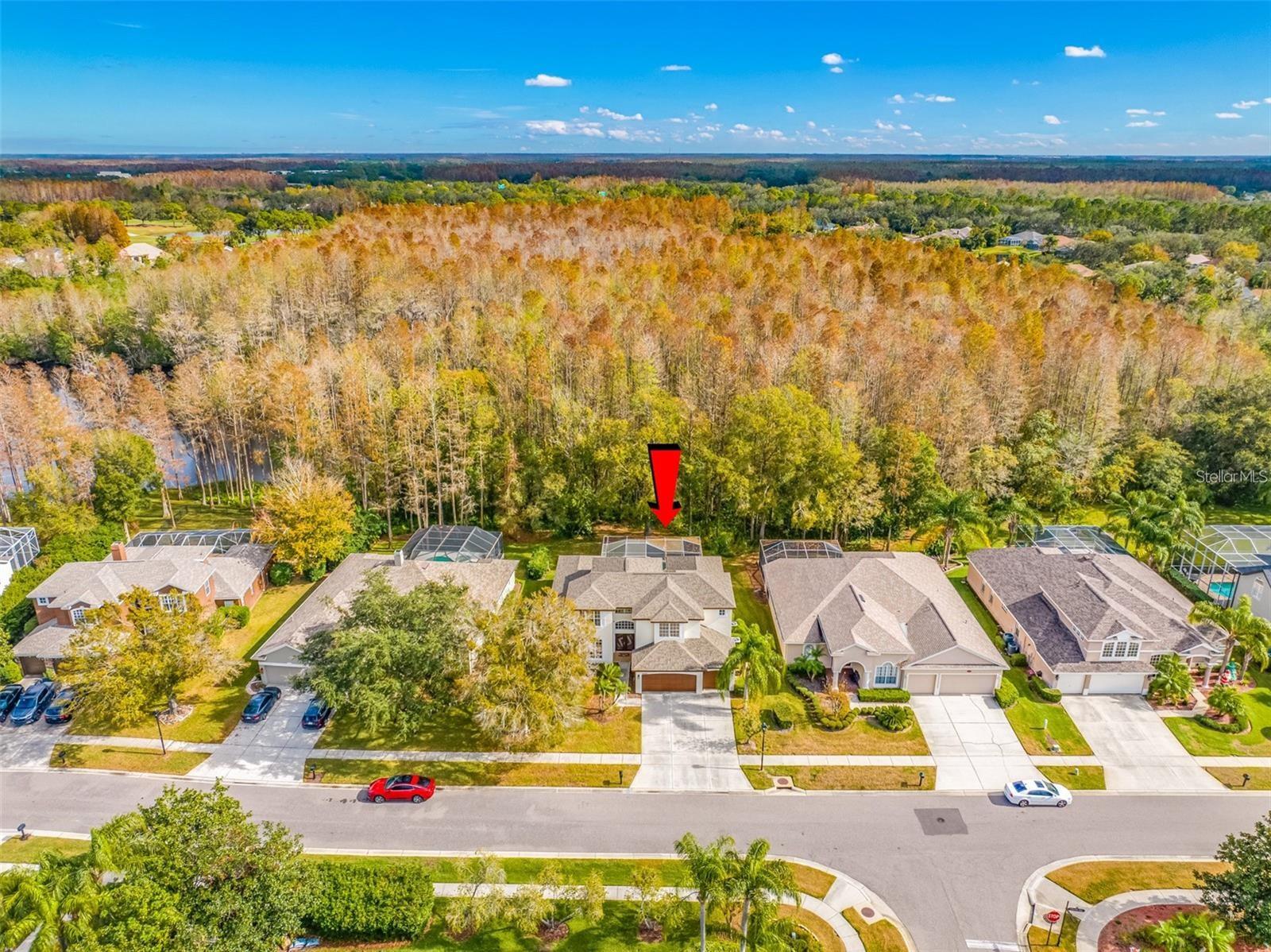 18801 CHAVILLE RD, LUTZ, FL, 33558