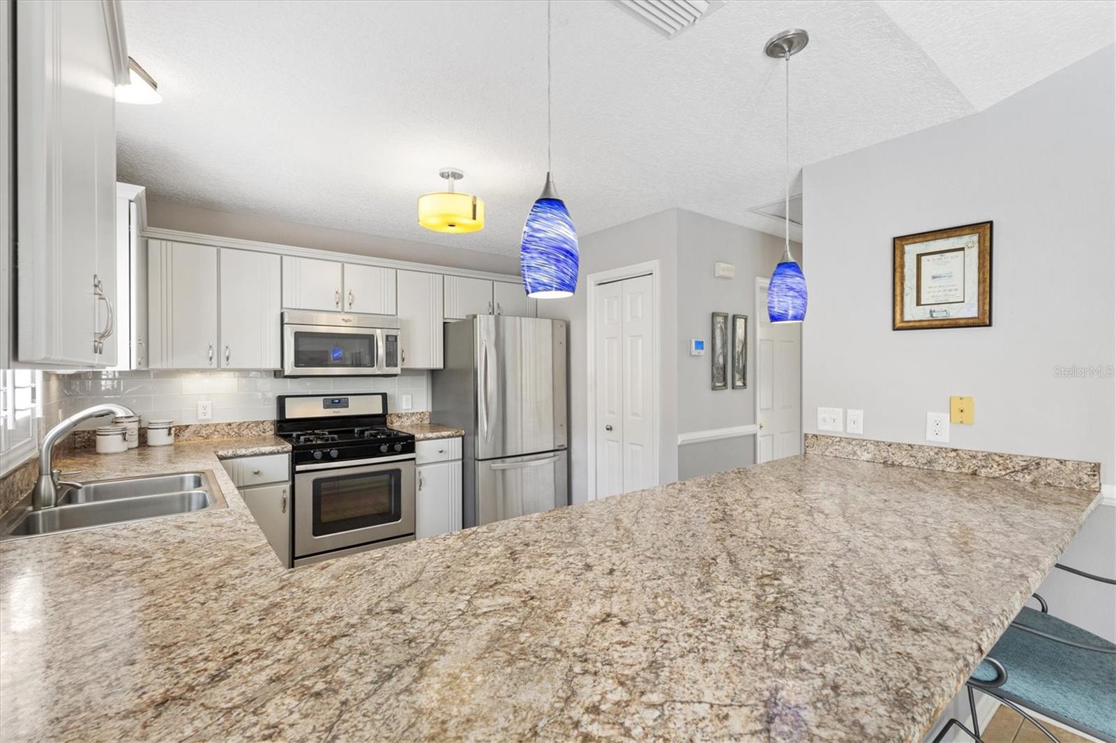 1139 SANTA CRUZ DR, THE VILLAGES, FL, 32162