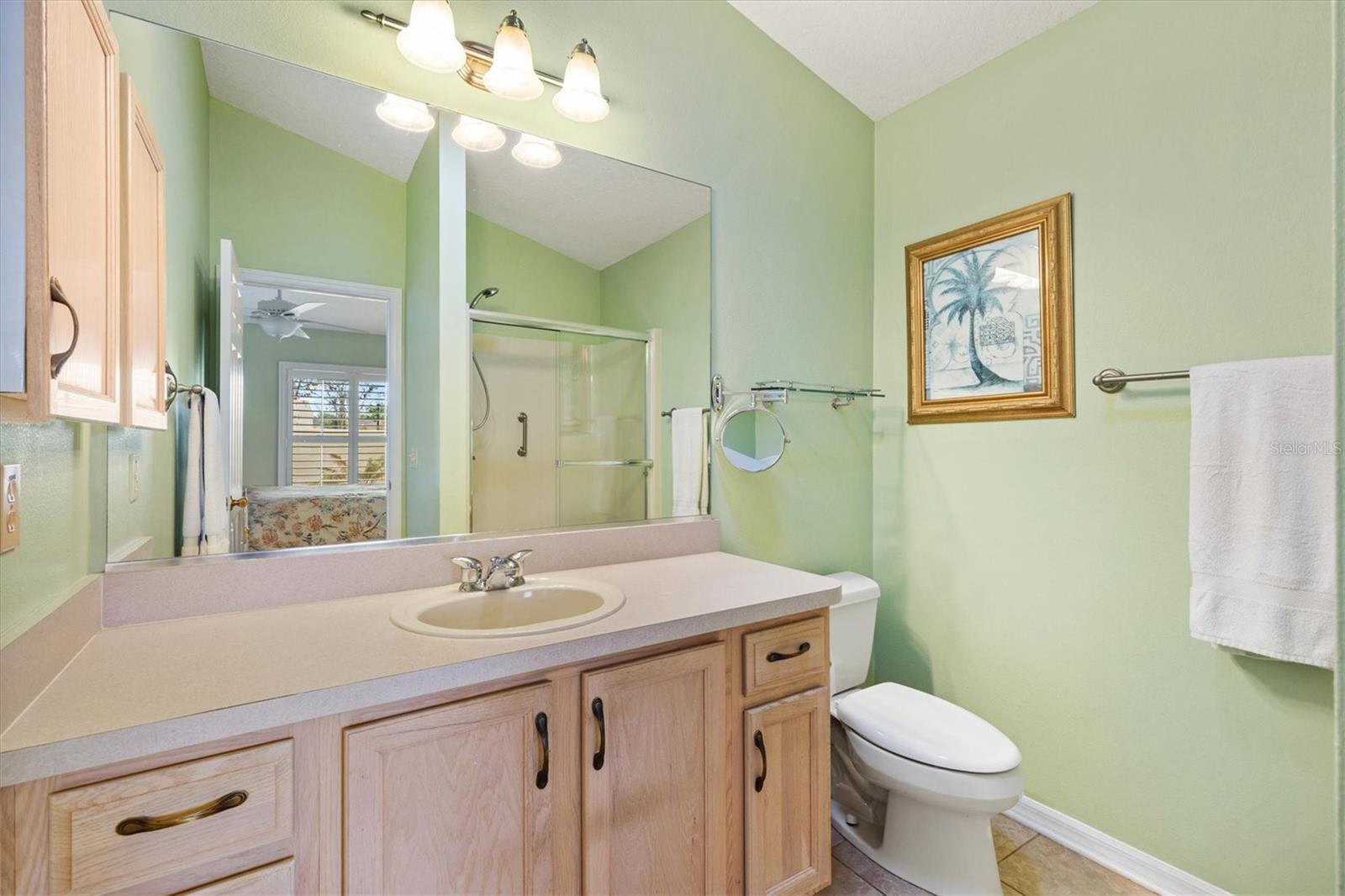 1139 SANTA CRUZ DR, THE VILLAGES, FL, 32162