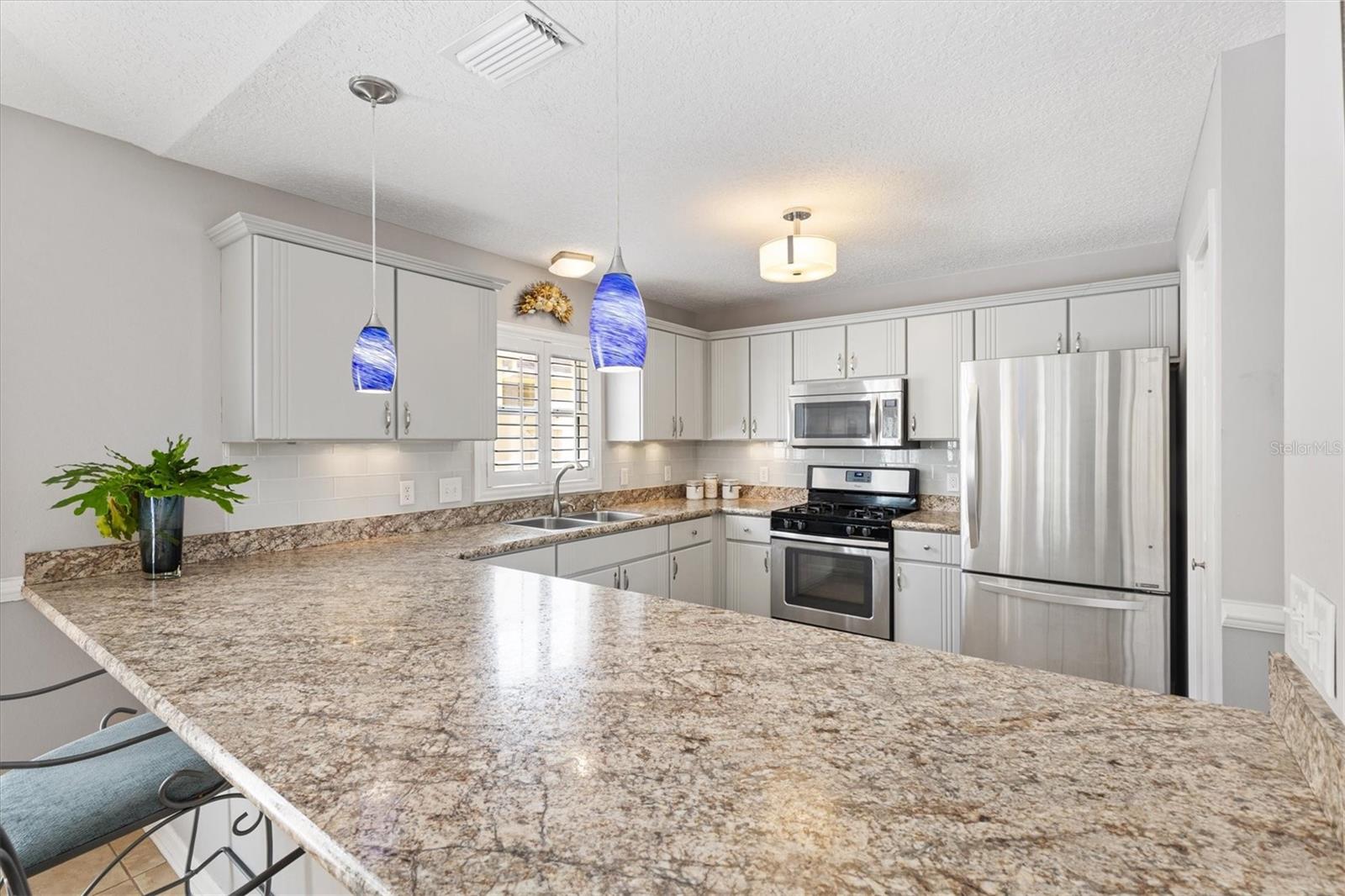 1139 SANTA CRUZ DR, THE VILLAGES, FL, 32162