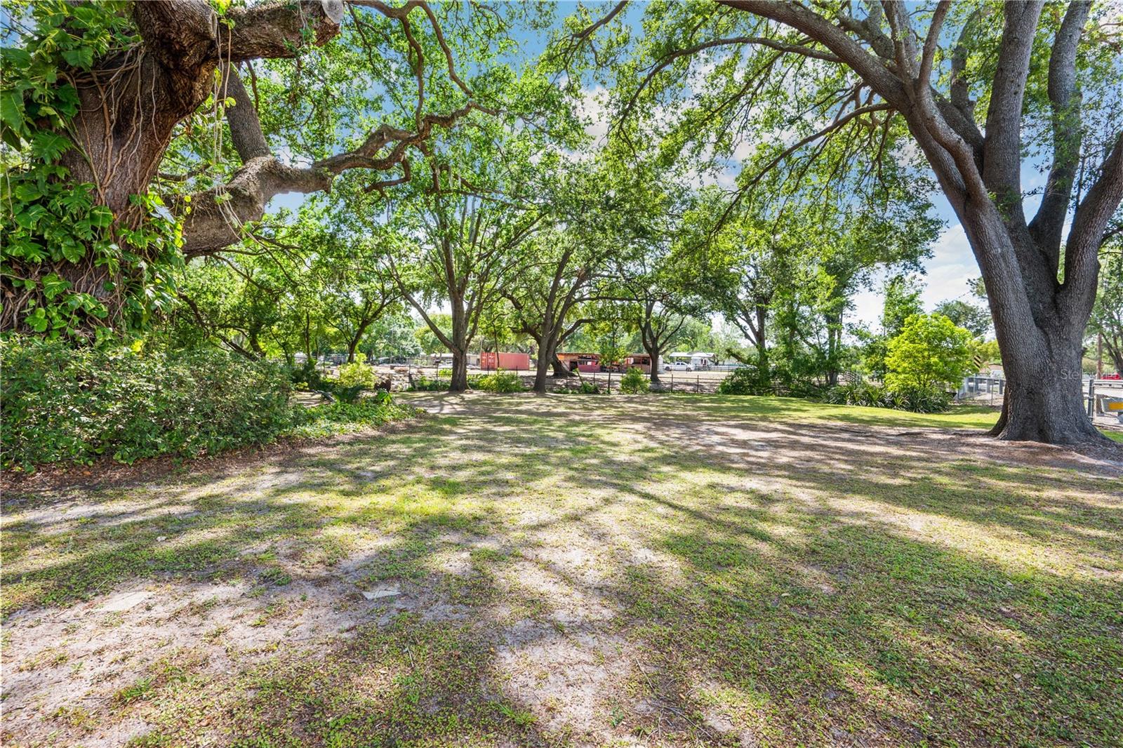 3911 LADO DR, WESLEY CHAPEL, FL, 33543