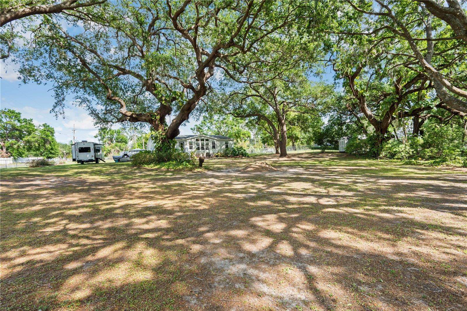 3911 LADO DR, WESLEY CHAPEL, FL, 33543