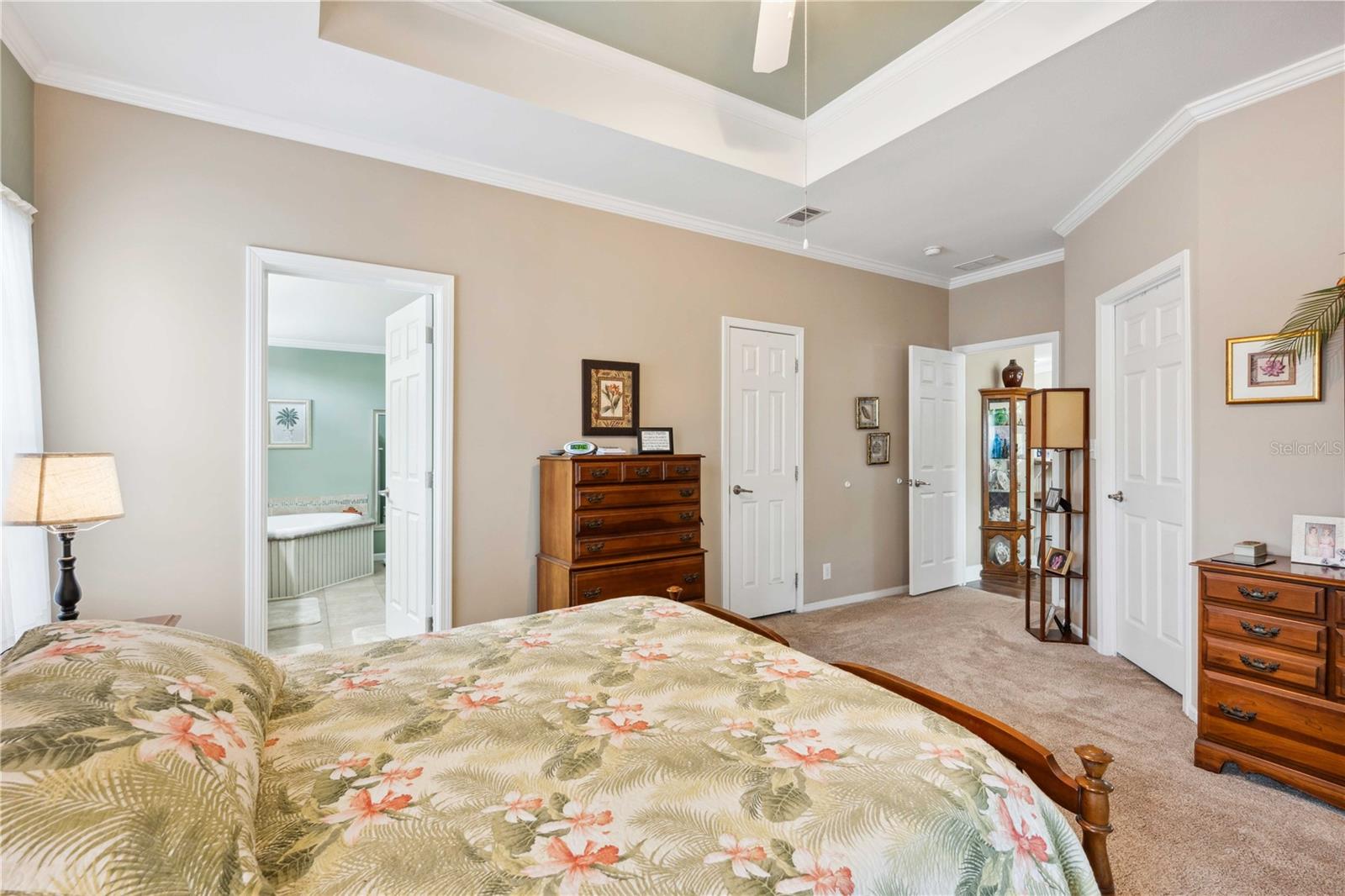 3911 LADO DR, WESLEY CHAPEL, FL, 33543