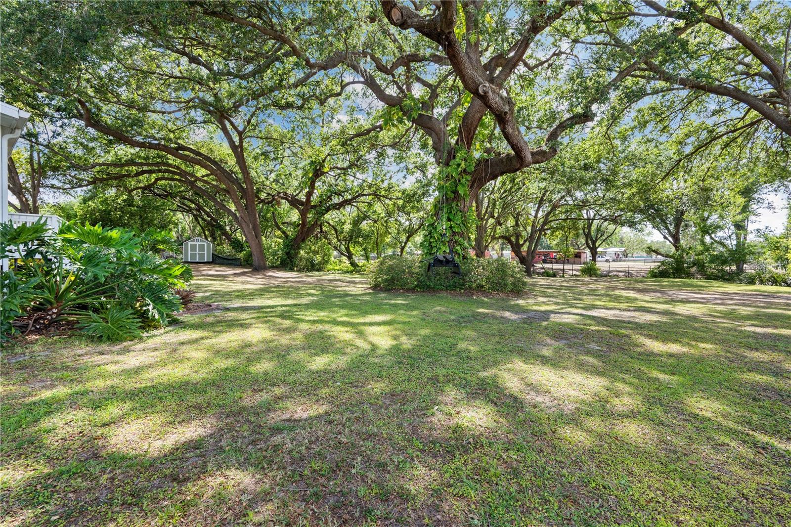 3911 LADO DR, WESLEY CHAPEL, FL, 33543